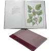 Limited Edition The Queen'S Mulberries